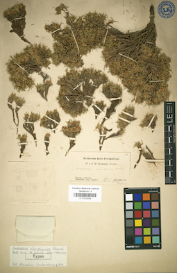 LE 01032056
