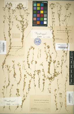 LE 01032059