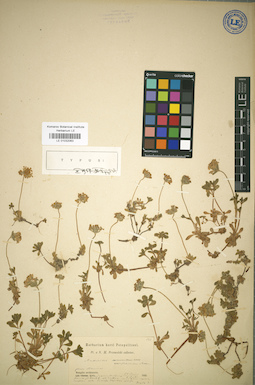 LE 01032063