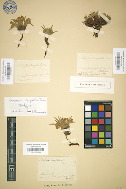 LE 01032067