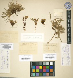 LE 01032071