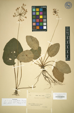 LE 01032072