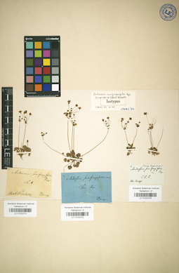 LE 01032075