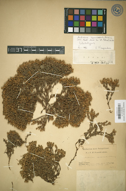 LE 01032079