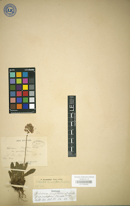 LE 01032082