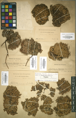 LE 01032088