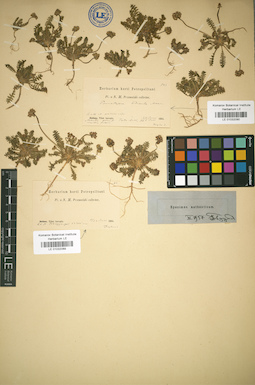 LE 01032090
