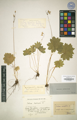 LE 01032093