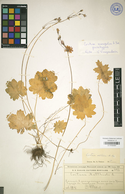 LE 01032097