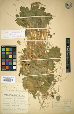 LE 01032099