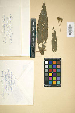 LE 01032120