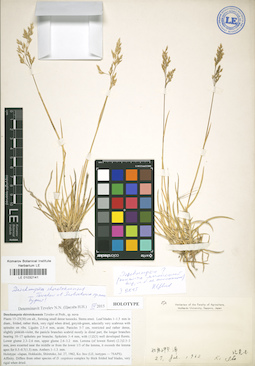 LE 01032141
