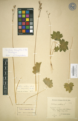 LE 01032201
