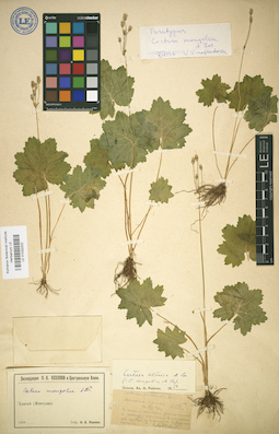 LE 01032202