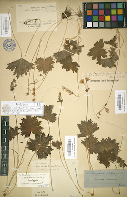 LE 01032203