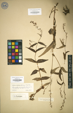 LE 01032217