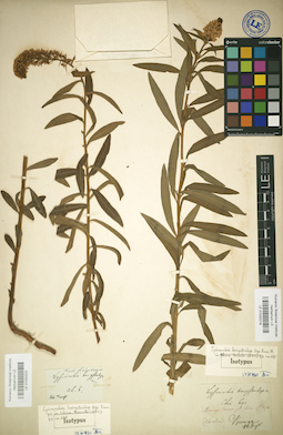 LE 01032219