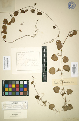 LE 01032223