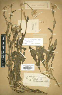 LE 01034600