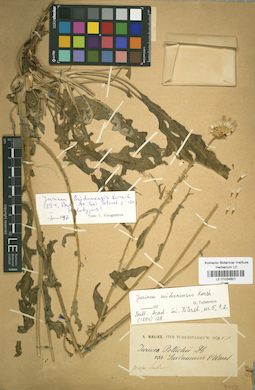 LE 01034601