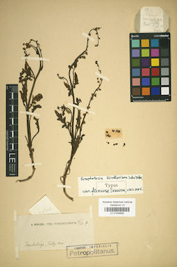 LE 01034608