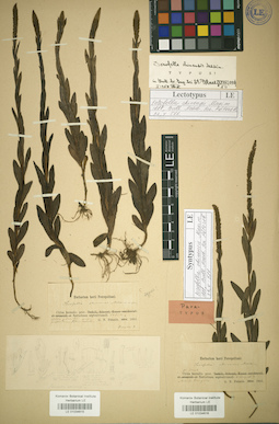 LE 01034615