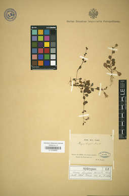 LE 01034623