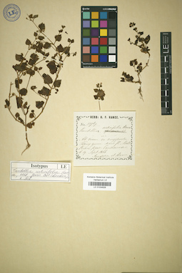 LE 01034628