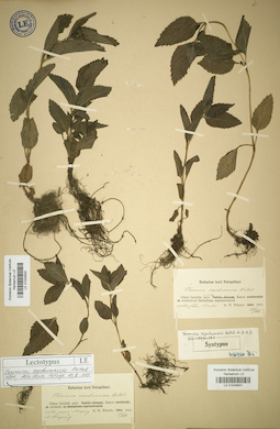 LE 01034631