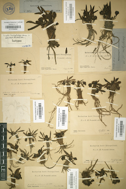 LE 01034641
