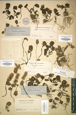 LE 01034643