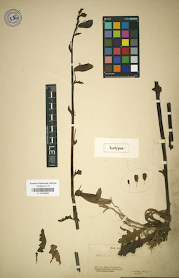 LE 01034652
