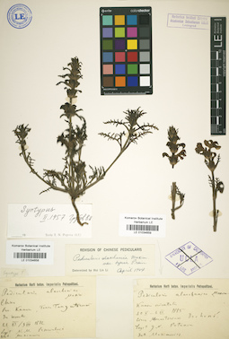 LE 01034658