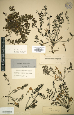 LE 01034663