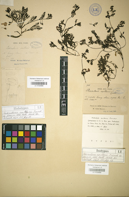 LE 01034665