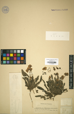 LE 01034667