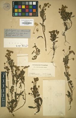 LE 01034671