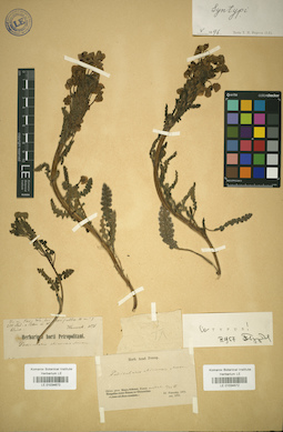 LE 01034673