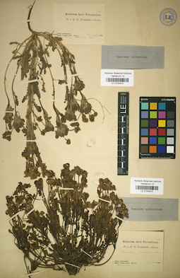 LE 01034674