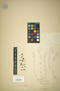LE 01034684