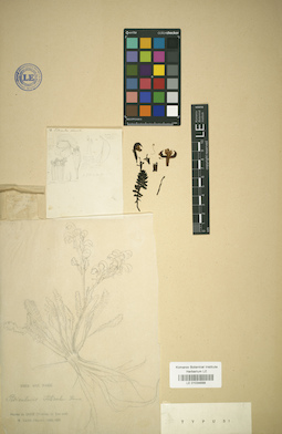 LE 01034688