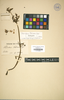 LE 01034690
