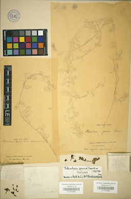 LE 01034692