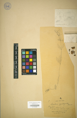 LE 01034693