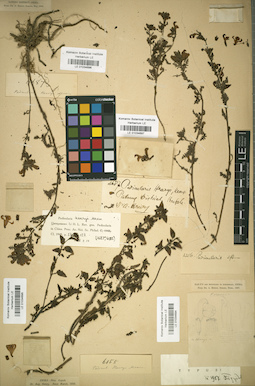 LE 01034697