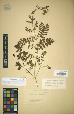 LE 01034714
