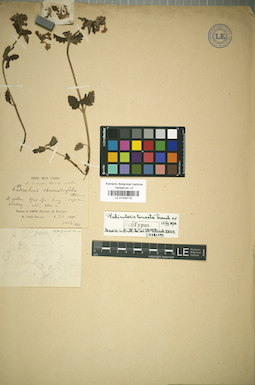LE 01034716