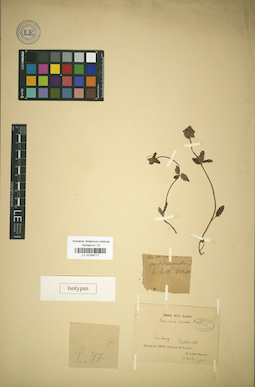 LE 01034717