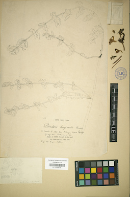 LE 01034718