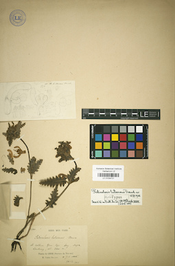 LE 01034721